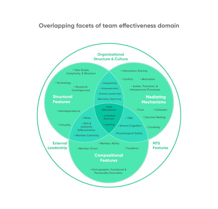 Overlapping Facets of Team Effectiveness Domain
